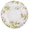 Rim soup plate white background - Raynaud